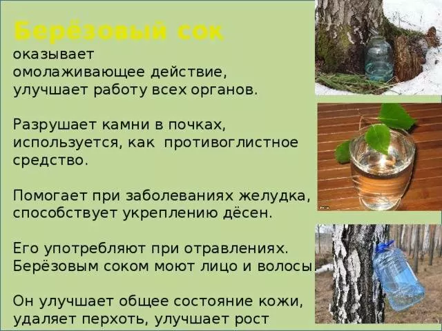 Фотография продукта Берёзовый сок 